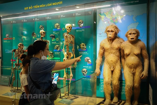 Le Musee de la nature du Vietnam devoile l’epopee de la vie hinh anh 6
