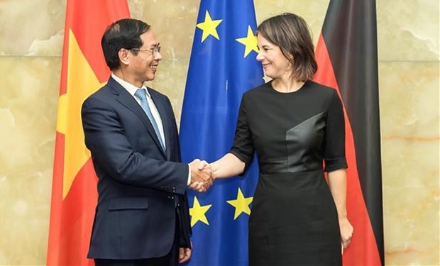 Le ministre des Affaires etrangeres en visite officielle en Allemagne hinh anh 1