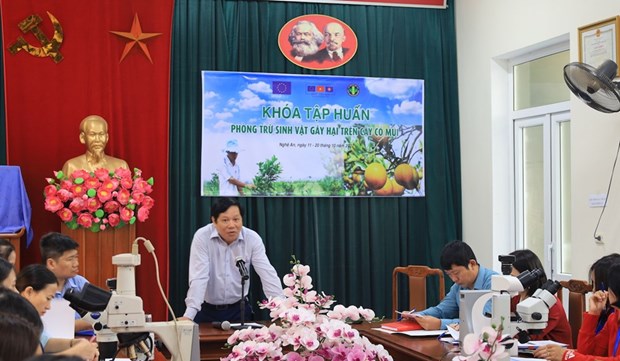 L'UE aide le Vietnam a renforcer la securite sanitaire de ses produits agricoles exportes hinh anh 1