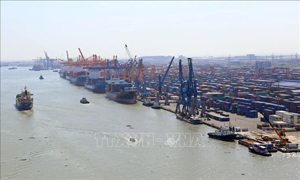 Hausse du fret transitant par les ports maritimes du Vietnam au cours des dix premiers mois hinh anh 1