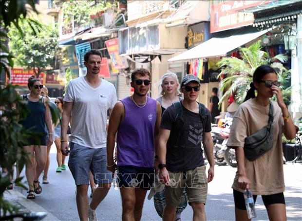 Les recherches internationales pour le tourisme au Vietnam demeurent elevees hinh anh 1