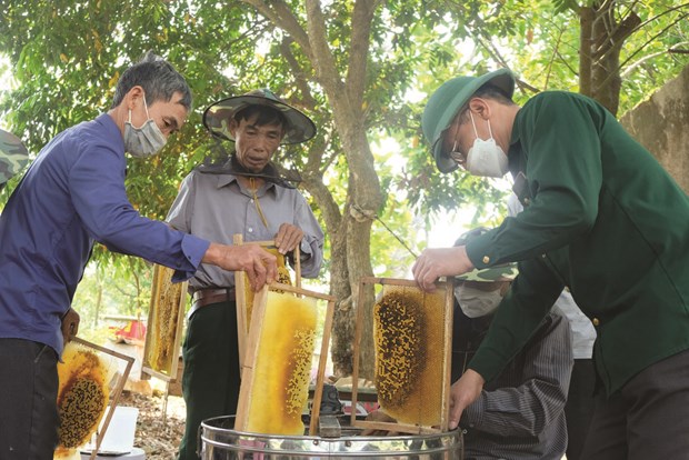 Un veteran de guerre fait fortune grace a l’apiculture hinh anh 2