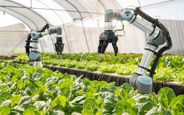 La scienza e l'innovazione contribuiranno per oltre il 50% alla crescita agricola entro il 2030