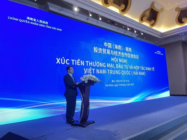 Le Vietnam et Hainan (Chine) promouvent la cooperation economique et d'investissement hinh anh 1