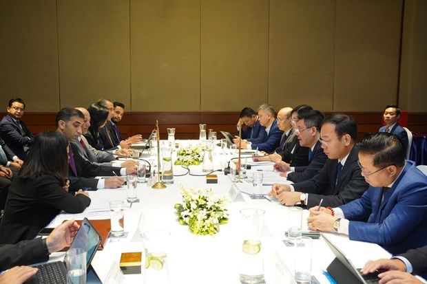 CEPA, un levier pour promouvoir le commerce entre le Vietnam et les EAU hinh anh 2