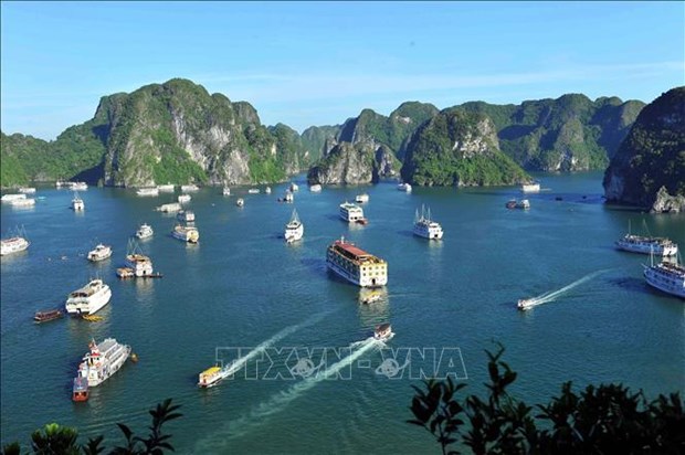 La baie d'Ha Long – l’archipel de Cat Ba reconnus comme patrimoine naturel mondial hinh anh 2