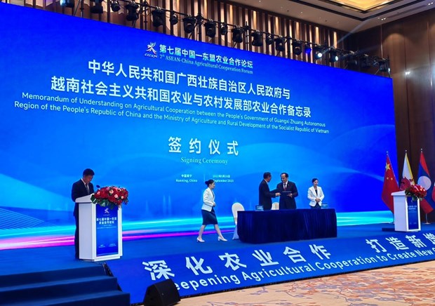 Le Vietnam et le Guangxi (Chine) signent un protocole d’accord sur la cooperation agricole hinh anh 1