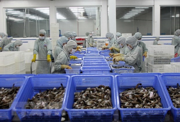 L’UE, premier marche importateur de crevettes vietnamiennes hinh anh 1