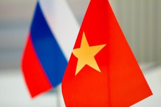 Le Vietnam et la Russie etablissent des relations exemplaires hinh anh 1