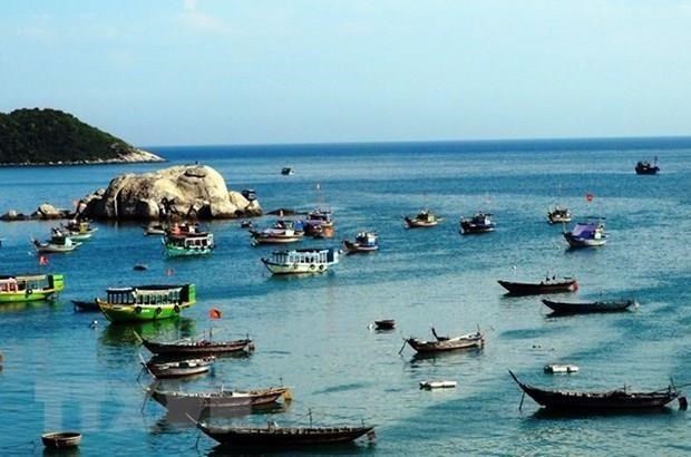 Da Nang s'efforce de devenir un centre economique maritime hinh anh 1