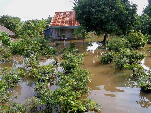 Recherche des solutions pour l'adaptation au changement climatique dans le delta du Mekong hinh anh 1