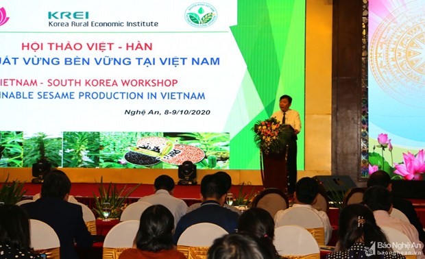 Vietnam et Republique de Coree cooperent dans la production du sesame hinh anh 1