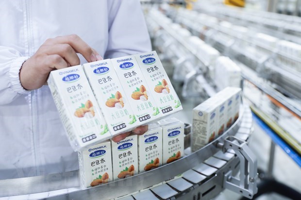 Vinamilk exporte un gros lots de produits laitiers vers la Chine hinh anh 1