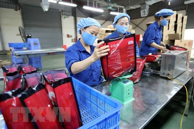 Le Vietnam maintient des exportations stables vers Israel en 2020 hinh anh 1