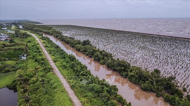 Developper le delta du Mekong en s’adaptant au changement climatique hinh anh 1