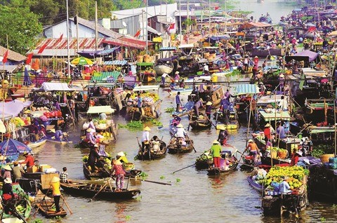 Le gout du Tet dans le delta du Mekong hinh anh 3