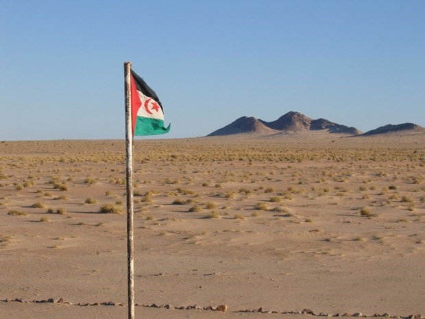 Le Vietnam appelle les parties au Sahara occidental a reprendre les negociations hinh anh 1
