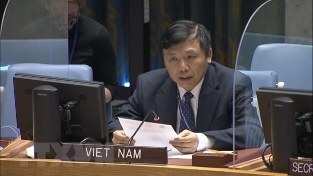 Le Vietnam preside la reunion semestrielle du Groupe de travail sur les Tribunaux internationaux hinh anh 1