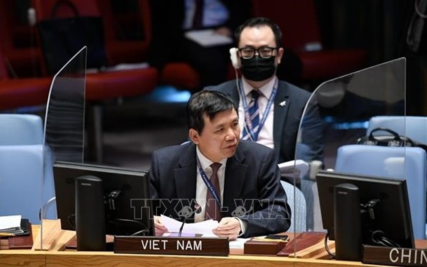 Le Vietnam exhorte les parties a accepter la proposition de paix pour le Yemen dirigee par l'ONU hinh anh 1