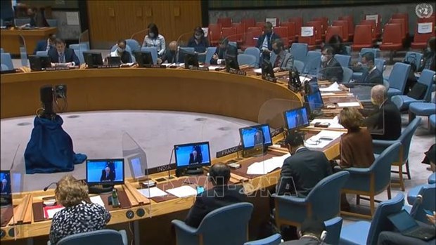 Conseil de securite de l'ONU: Impacts de la pandemie sur les efforts de lutte contre le terrorisme hinh anh 1