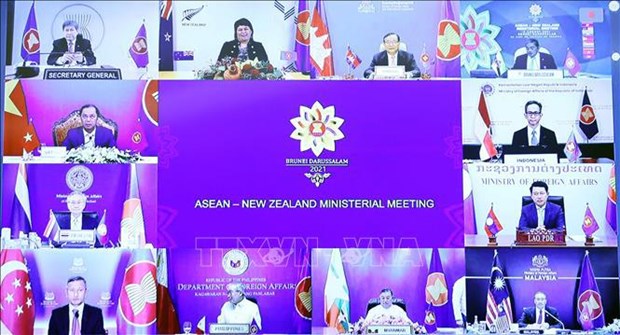 Reunion des ministres des Affaires etrangeres ASEAN-Nouvelle Zelande hinh anh 2
