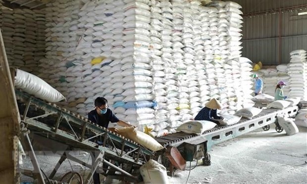 Le Premier ministre decide d'octroyer plus de 130.000 tonnes de riz a 24 villes et provinces hinh anh 1