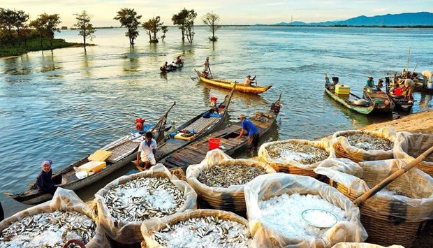 COVID-19: le secteur touristique du delta du Mekong cherche a surmonter ses difficultes hinh anh 1
