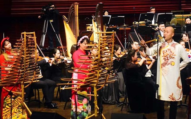 Le chef d’orchestre Dong Quang Vinh, ambassadeur de la musique hinh anh 1