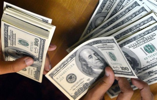 Plus de 18 milliards de dollars de devises etrangeres transferees au Vietnam hinh anh 1