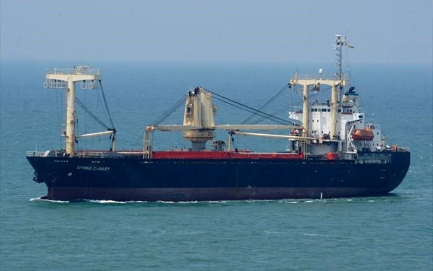 Recherche de signaux du cargo Narimoto Maru derivant dans les eaux de Binh Thuan hinh anh 1