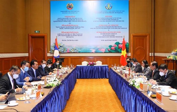 Vietnam-Laos renforcent leur cooperation dans le developpement agro-sylvicole hinh anh 1