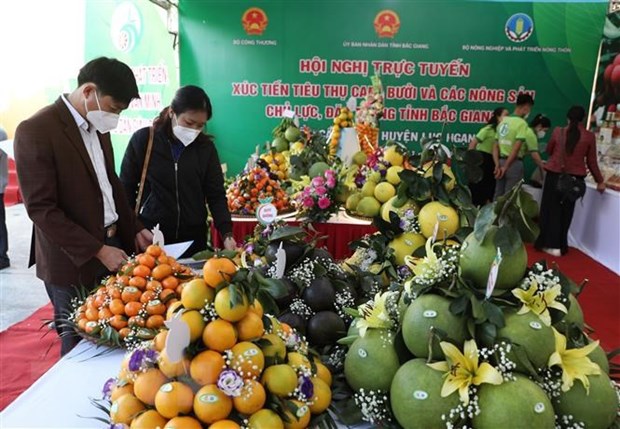 Bac Giang accelere la vente de ses produits agricoles via les plateformes de commerce electronique hinh anh 2