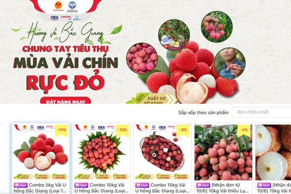 Bac Giang accelere la vente de ses produits agricoles via les plateformes de commerce electronique hinh anh 1