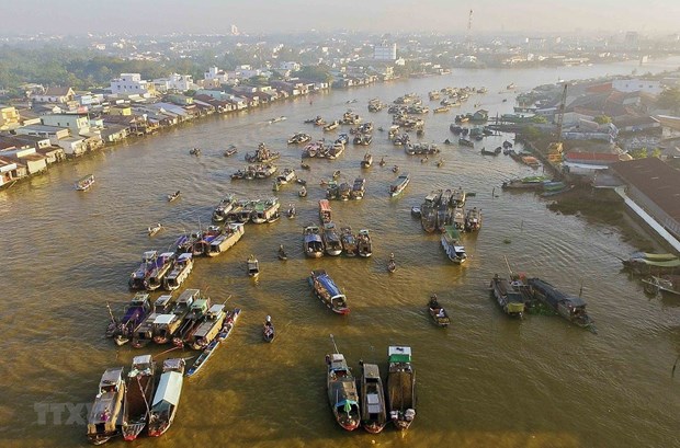 Le tourisme dans le delta du Mekong se redresse progressivement hinh anh 1