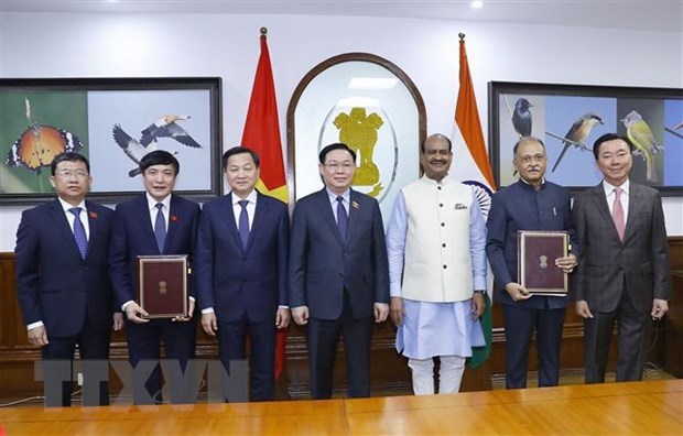 Le Vietnam contribue a porter les relations ASEAN-Inde a une nouvelle hauteur hinh anh 2