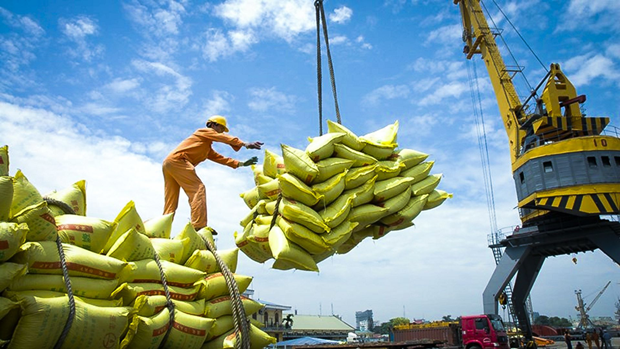 Promouvoir les exportations de riz de haute qualite vers le marche de l'ASEAN hinh anh 1