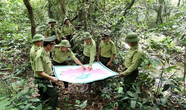 Aide americaine dans la formation des gardes forestiers du Vietnam hinh anh 1