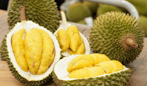 Le Vietnam exporte du durian vers la Chine par les voies officielles hinh anh 1