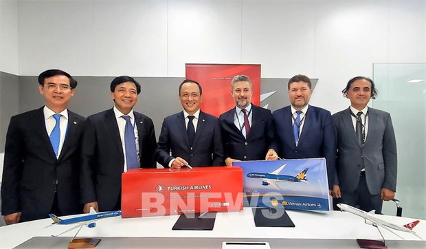 Vietnam Airlines et Turkish Airlines renforcent leur cooperation hinh anh 1