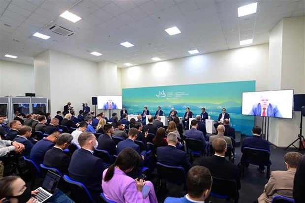 Le Vietnam et la Russie parlent business au 7e Forum economique oriental hinh anh 2