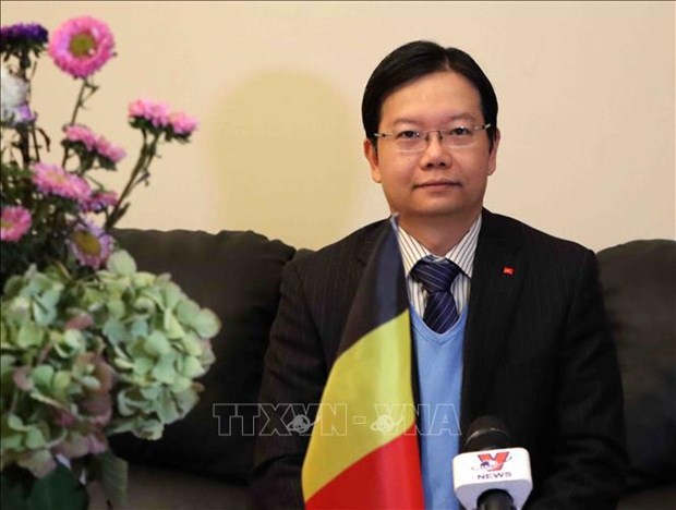 Le Bureau du Commerce du Vietnam contribue a la cooperation economique avec la Belgique hinh anh 1