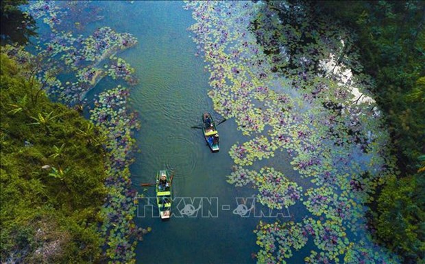 Le Vietnam multiplie les actions pour les zones humides hinh anh 1
