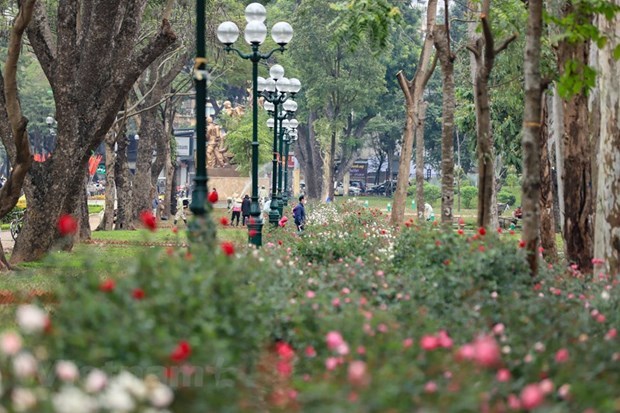 Hanoi compte remedier a son manque de parcs hinh anh 2