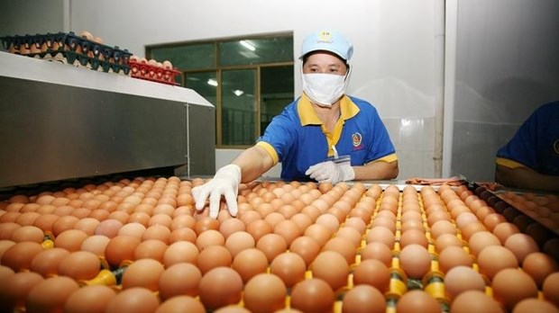 Le Vietnam se porte bien dans son role de leader dans la transformation du systeme alimentaire hinh anh 1