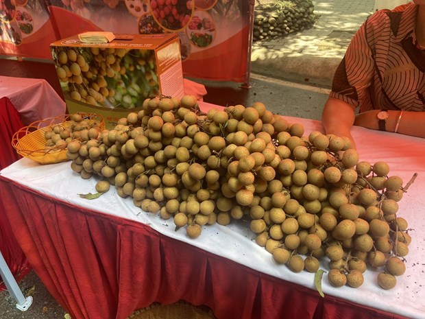 Exportations de fruits et legumes du Vietnam : 5 milliards de dollars vises cette annee hinh anh 2