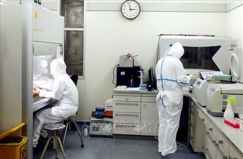 COVID-19 : le Vietnam aura 30 laboratoires capables d’effectuer des tests de depistage hinh anh 1
