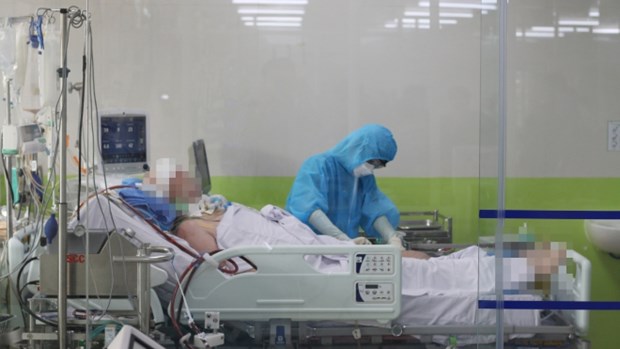COVID-19 : la 48e journee consecutive sans infections communautaires au Vietnam hinh anh 1