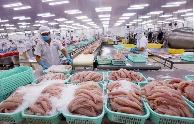 L’exportation des poissons tra (pangasius) en baisse de 39% hinh anh 1