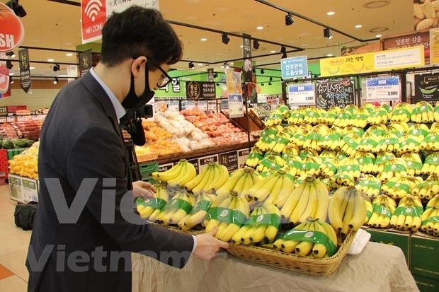 Les exportations de fruits et legumes rebondissent de 8,4% en juin hinh anh 1