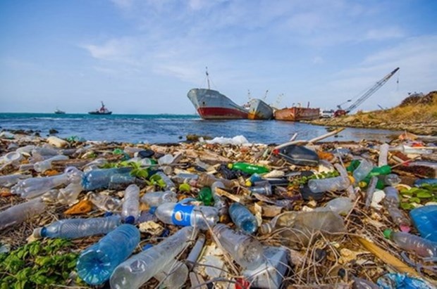 Multiplier les initiatives et solutions pour reduire la pollution plastique hinh anh 1